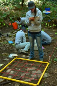 Students document the remains of worker housing near the Loma Prieta Mill.